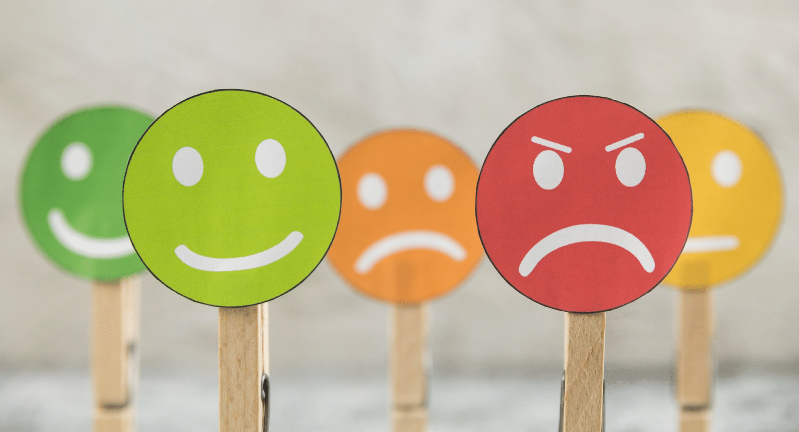 positive and negative reviews